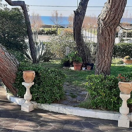 Appartamento In Villa Valentini, Fronte Mare, Giardino E Parcheggio Privato, Wifi, Dotato Di Tutti I Confort, Nel Golfo Di Gaeta مينتورنو المظهر الخارجي الصورة