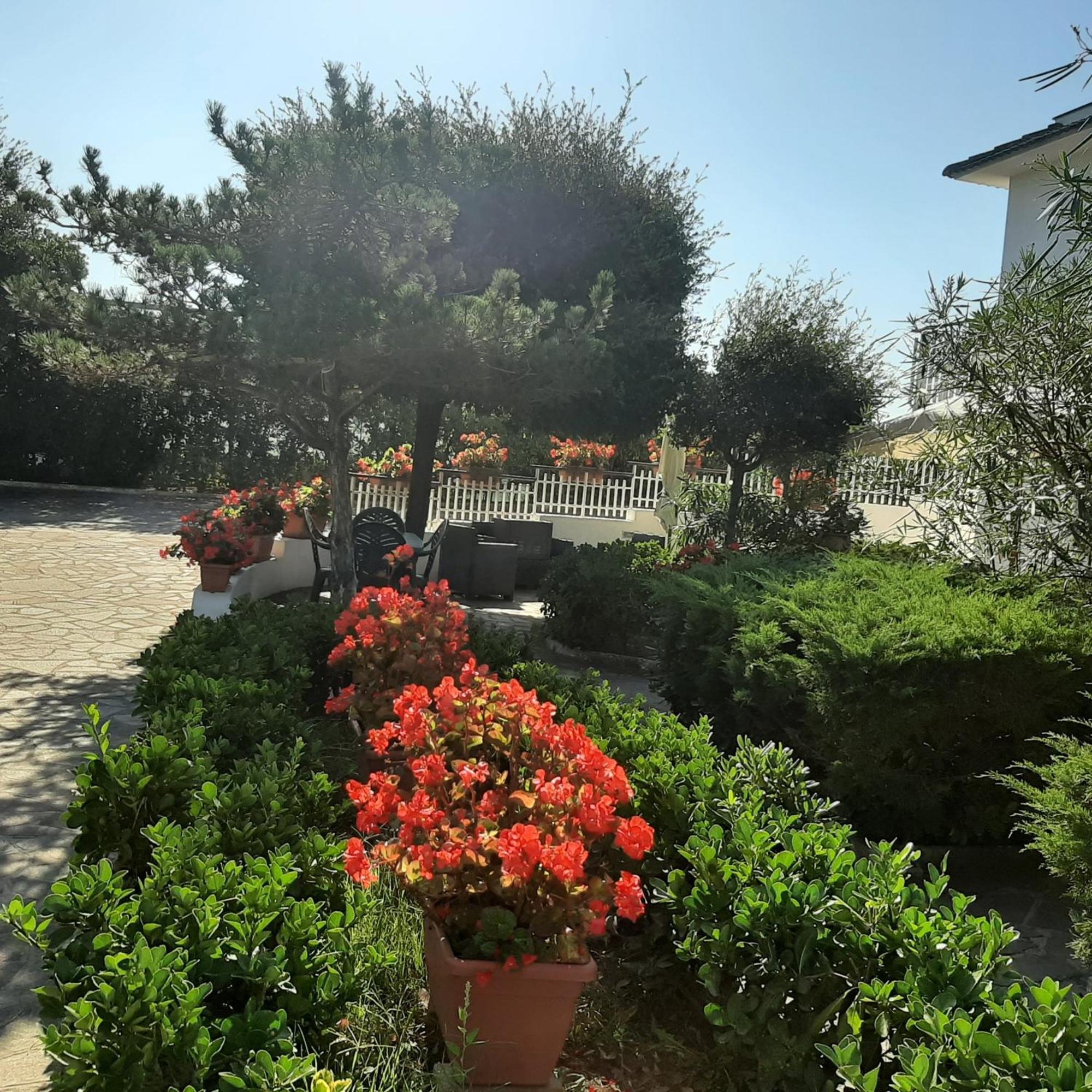 Appartamento In Villa Valentini, Fronte Mare, Giardino E Parcheggio Privato, Wifi, Dotato Di Tutti I Confort, Nel Golfo Di Gaeta مينتورنو المظهر الخارجي الصورة