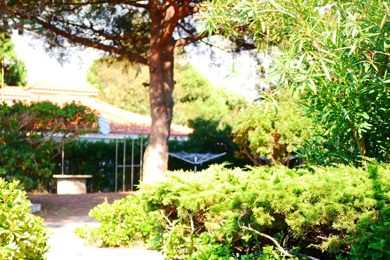Appartamento In Villa Valentini, Fronte Mare, Giardino E Parcheggio Privato, Wifi, Dotato Di Tutti I Confort, Nel Golfo Di Gaeta مينتورنو المظهر الخارجي الصورة