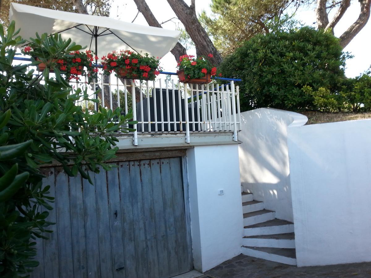 Appartamento In Villa Valentini, Fronte Mare, Giardino E Parcheggio Privato, Wifi, Dotato Di Tutti I Confort, Nel Golfo Di Gaeta مينتورنو المظهر الخارجي الصورة